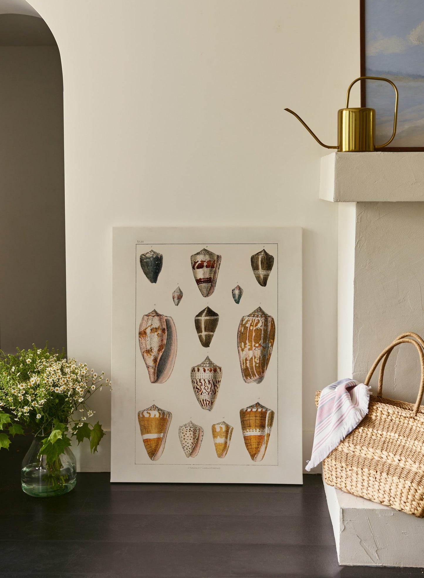 Beachcomber's Delight, Canvas