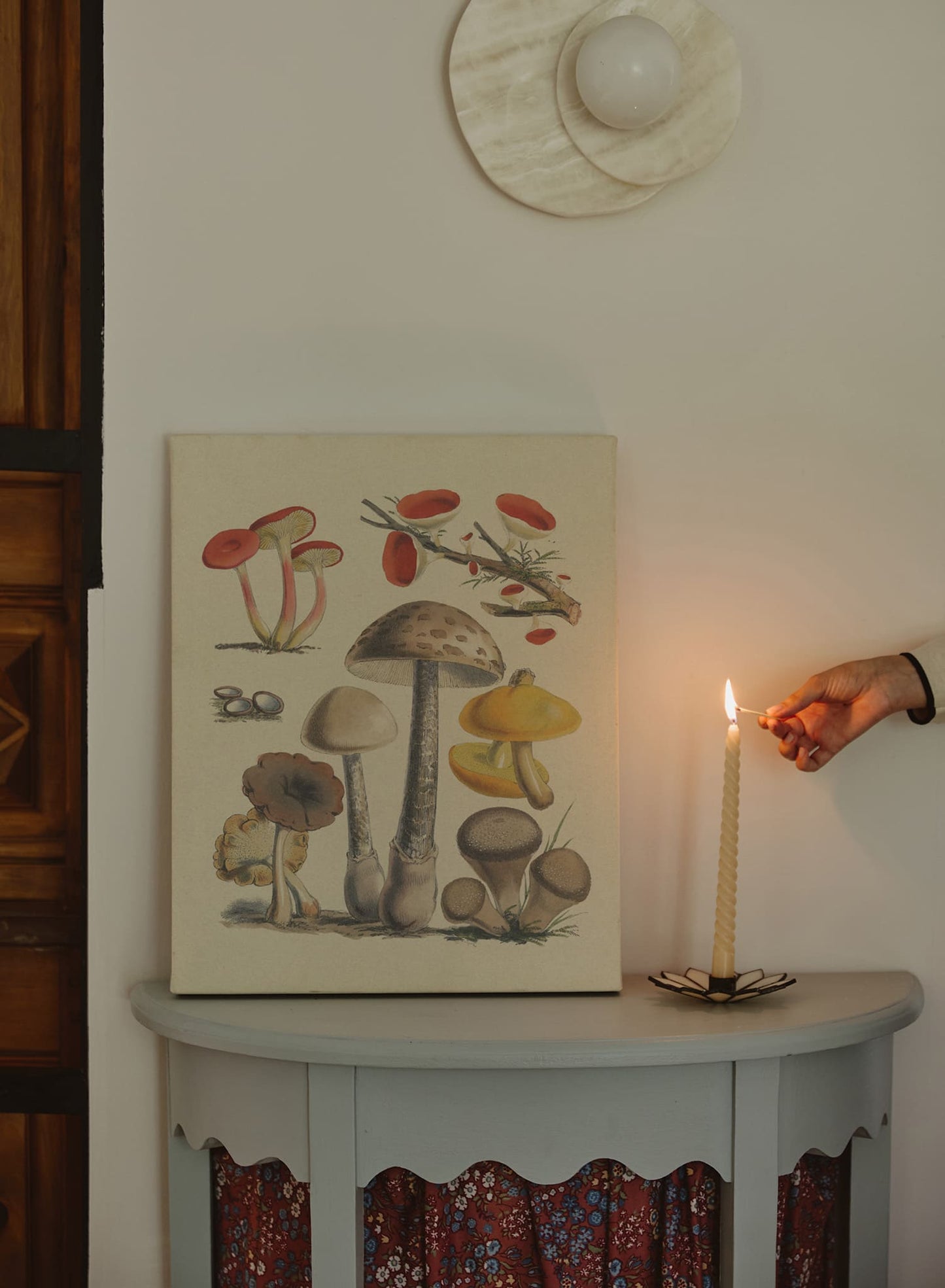 Étude de champignons I, Affiche