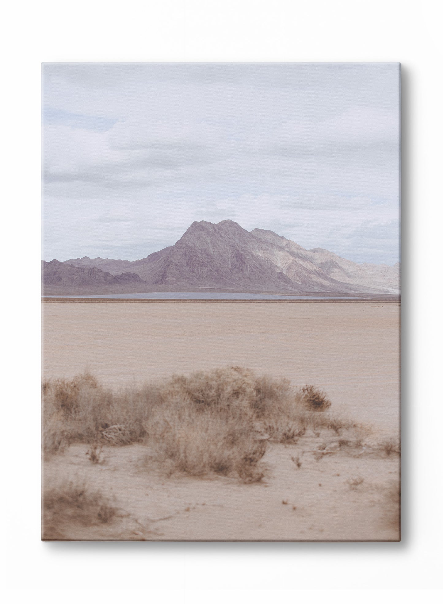 Nevada Silence, Poster