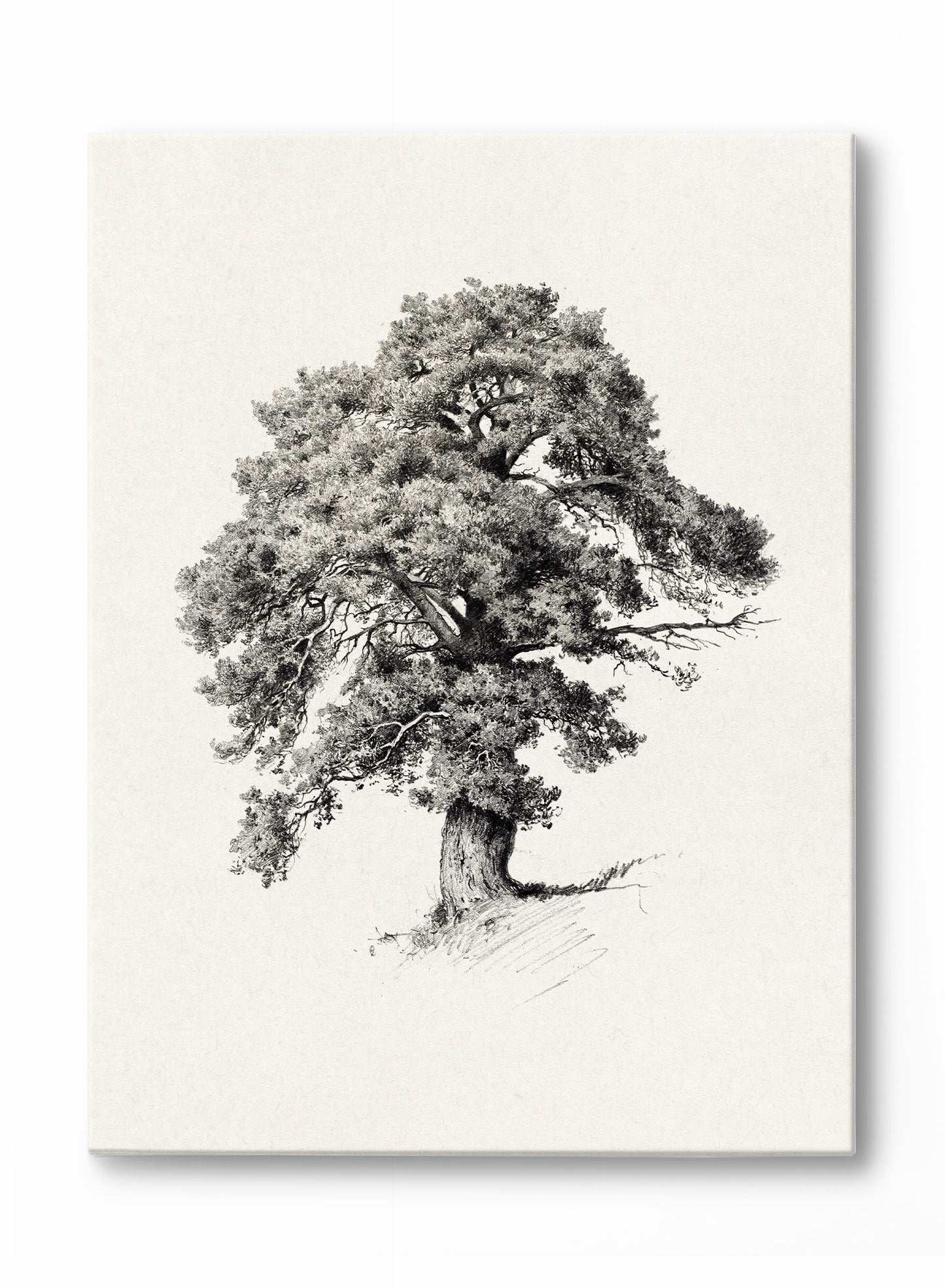 Mighty Tree, Poster
