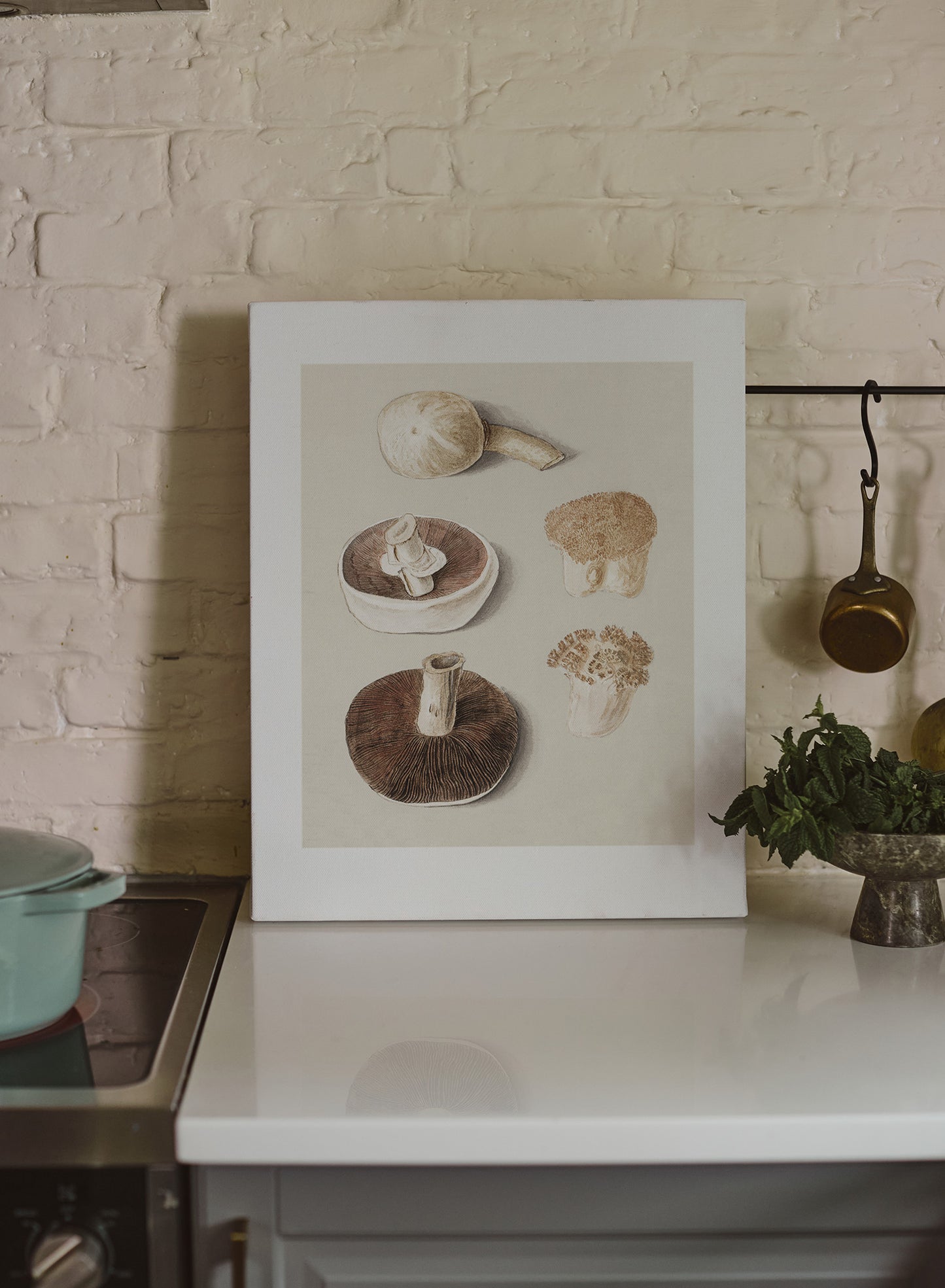 Culinary Fungi, Poster