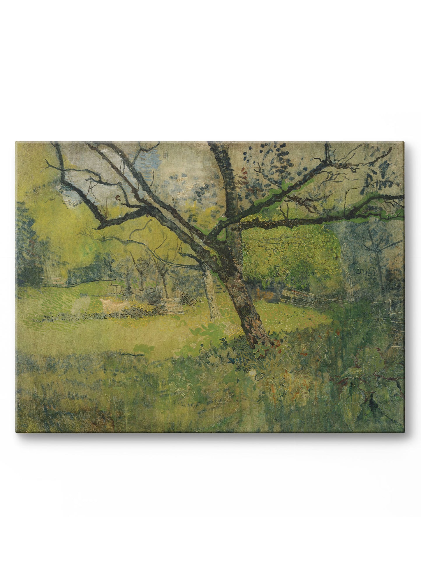 Sunny Day Clearing, Canvas