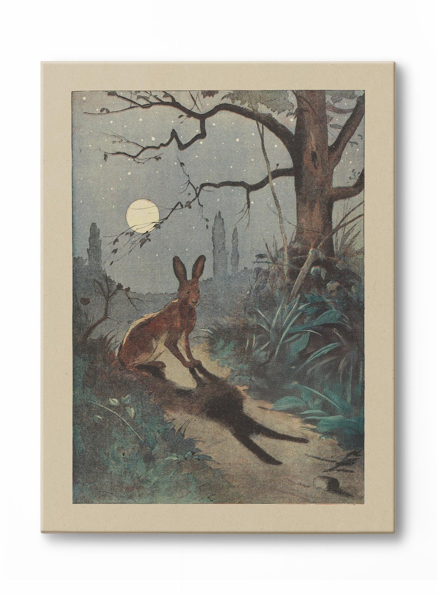 Moonlit Dreams, Canvas