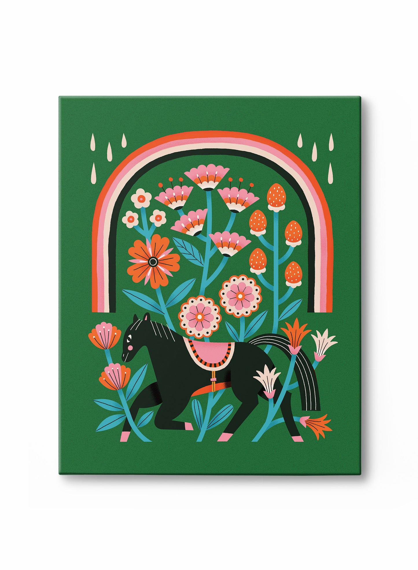 Pony Rainbows, Canvas