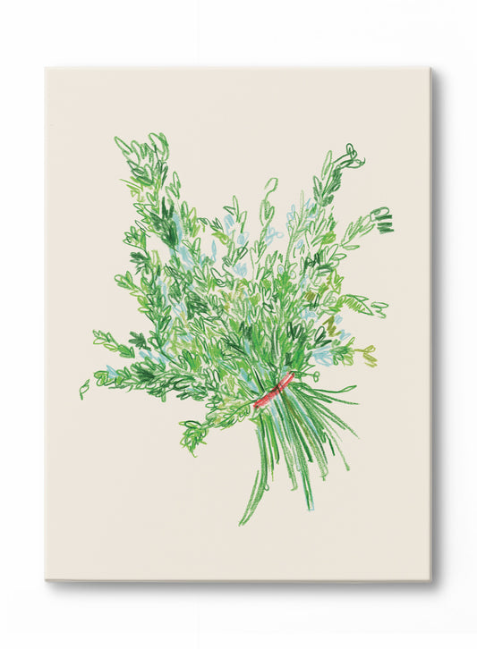 Sketched Herbs, Canvas