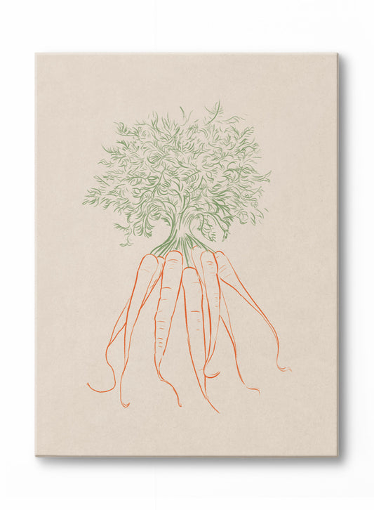 Line Drawn Carrots, Canvas