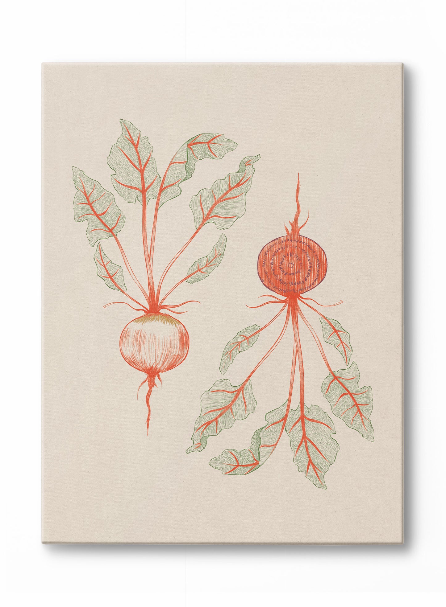 Beets in Two Tones, Canvas