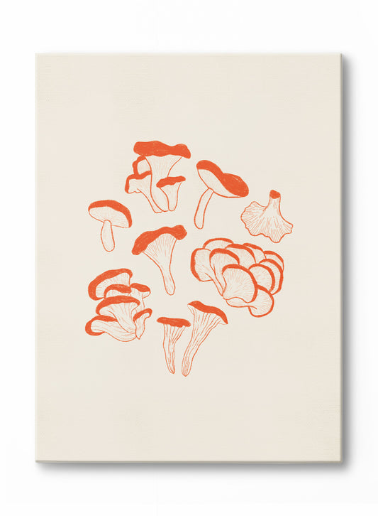 Foraged Funghi, Canvas
