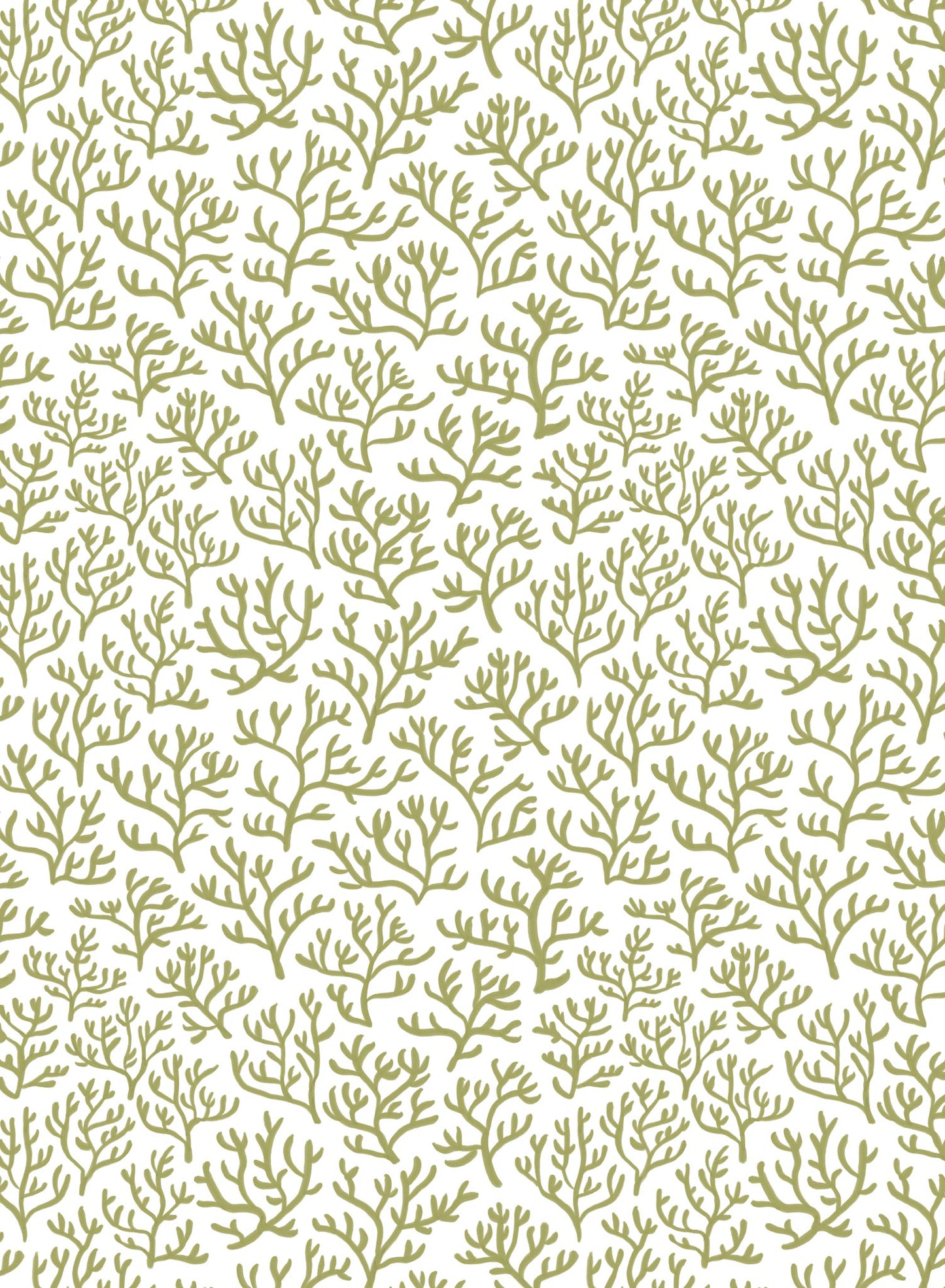 Coral Club, Wallpaper