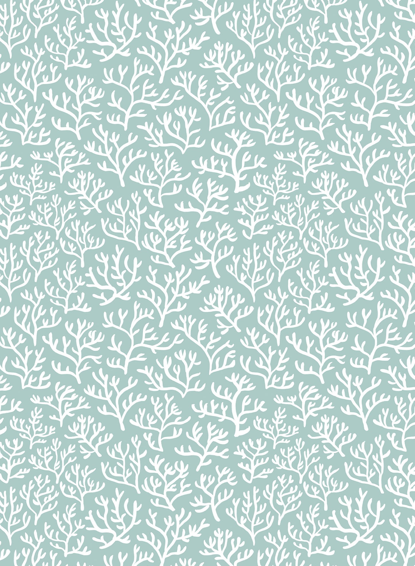 Coral Club, Wallpaper