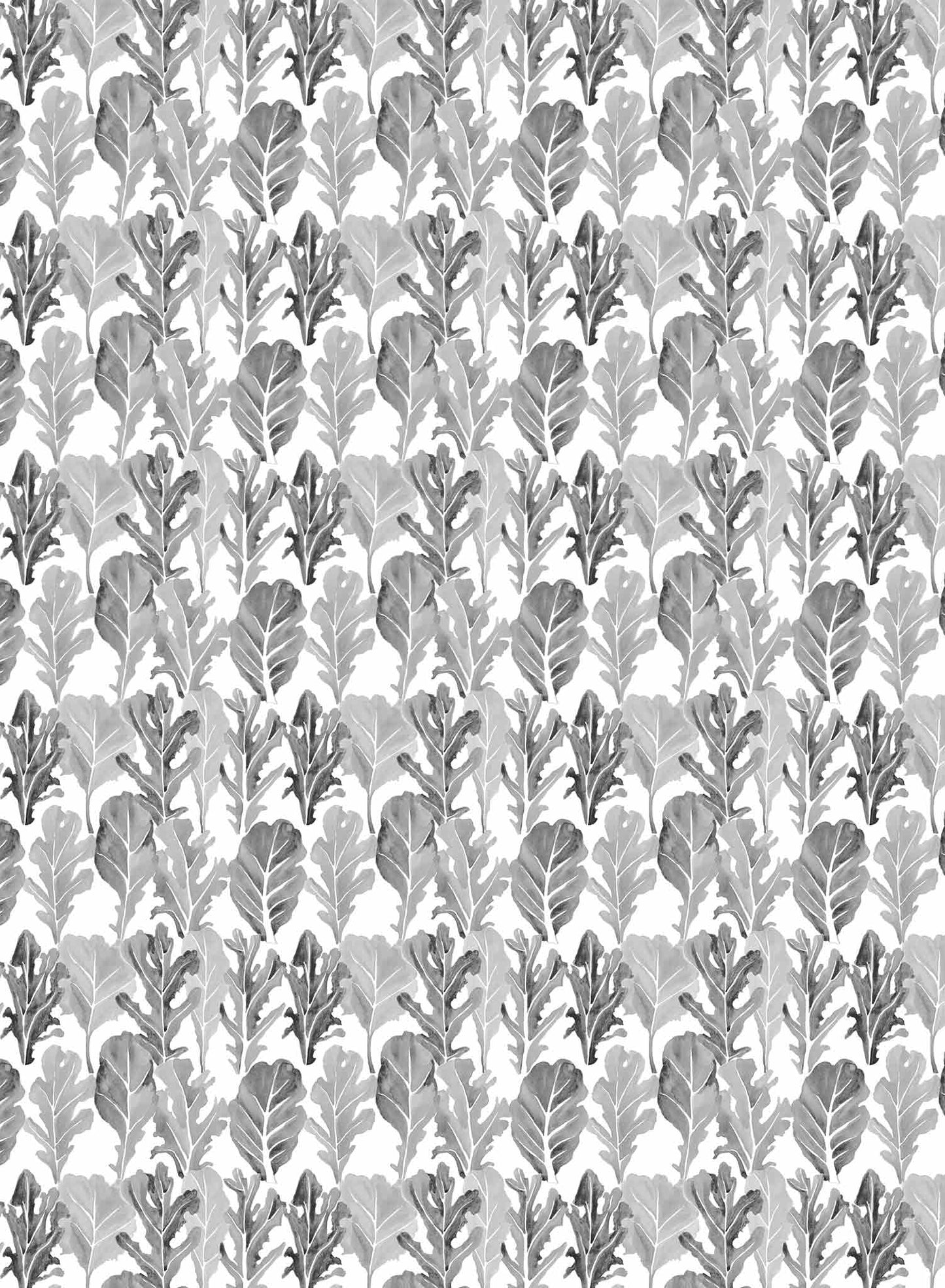 Salad Season is a minimalist wallpaper by Opposite Wall of a variety of lettuce leaves.