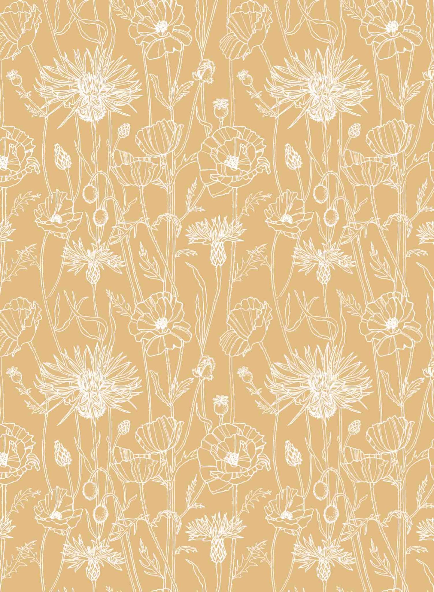 Poppy Field is a minimalist wallpaper by Opposite Wall of a field of tall poppy flowers.