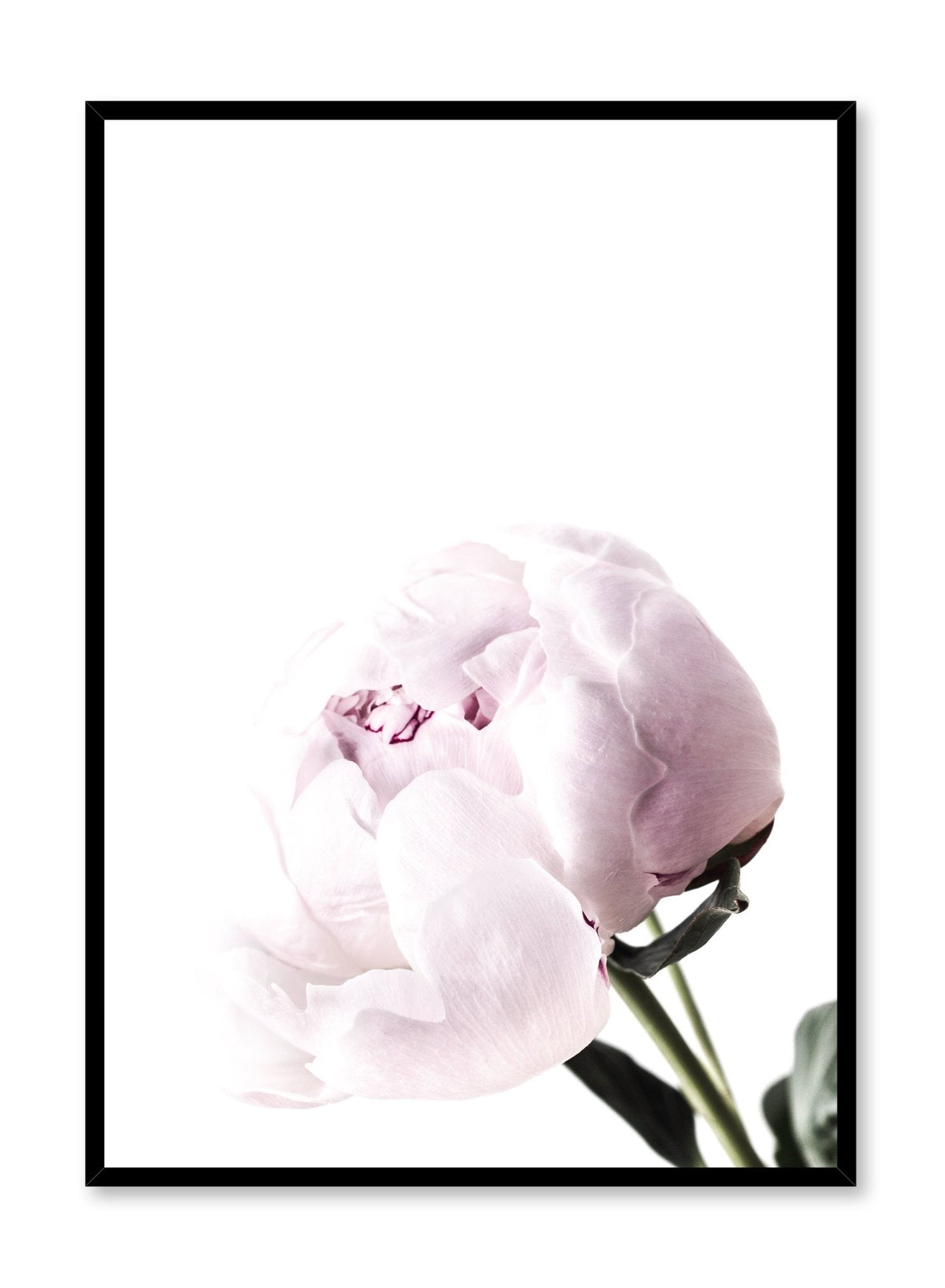Minimalistic wall photography by Opposite Wall with Bloom photography