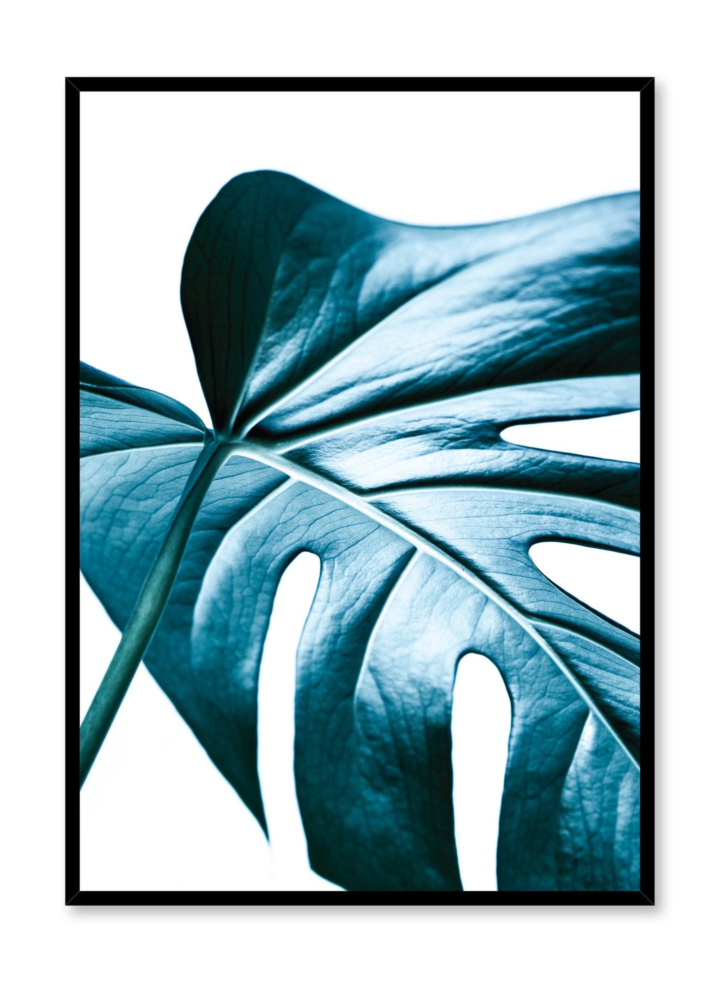 Minimalist poster by Opposite Wall with monstera leaf - Nature's Glimmer