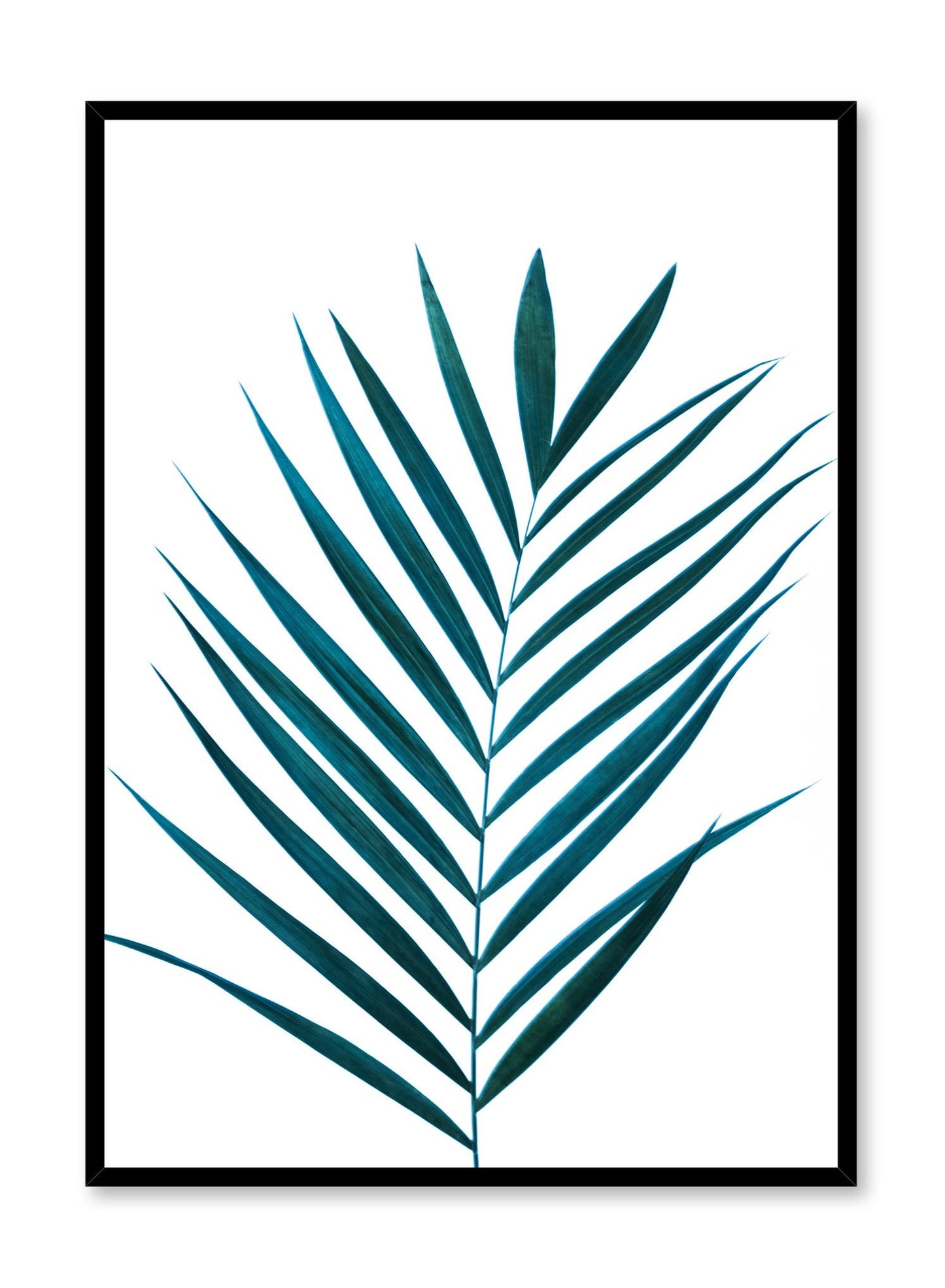 Scandinavian art print by Opposite Wall with Exotic palm leaf photography