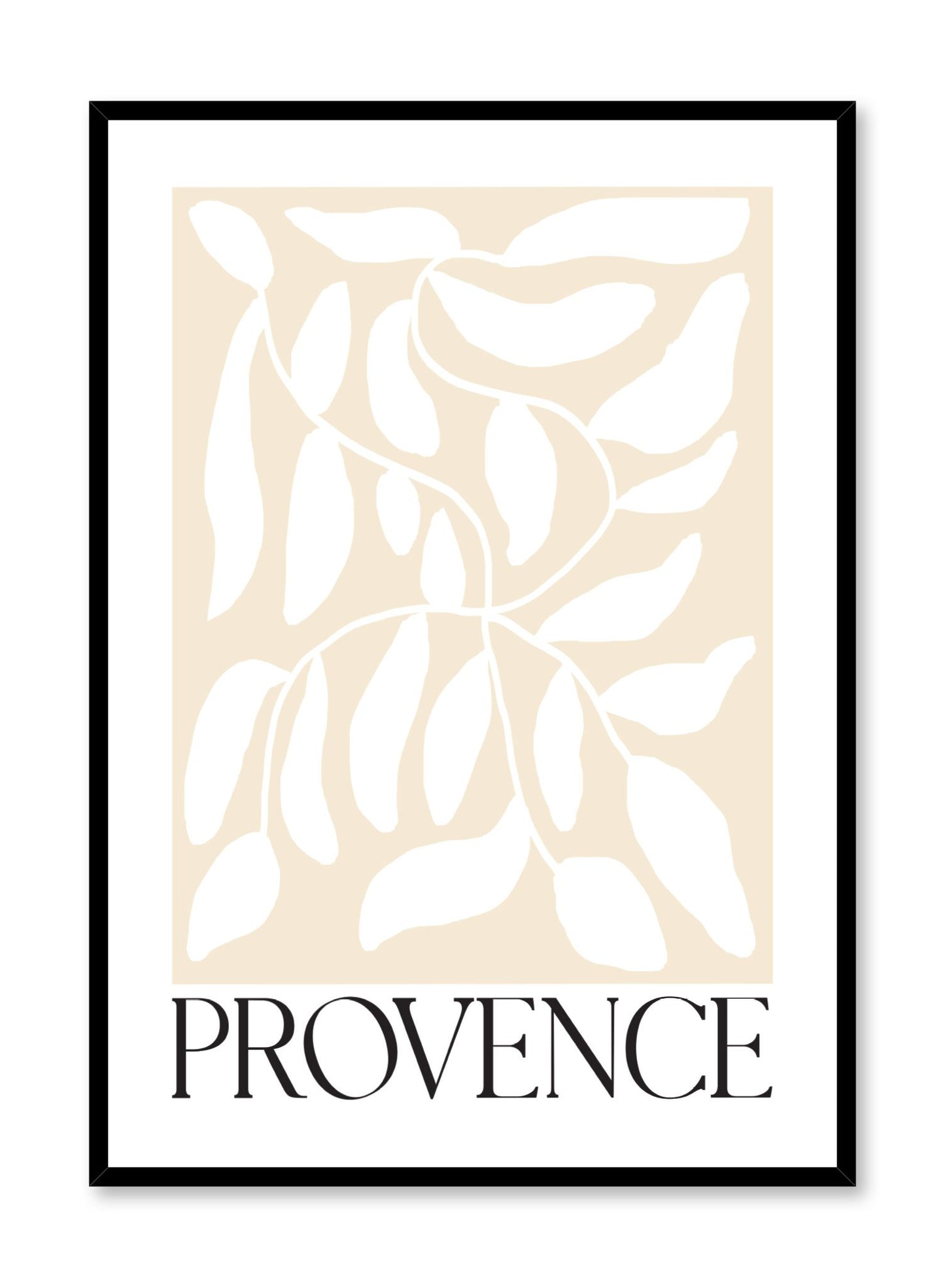 "Provence" is a minimalist botanical illustration poster by Opposite Wall of vintage white leaves over a beige background and the a "Provence" typography print.