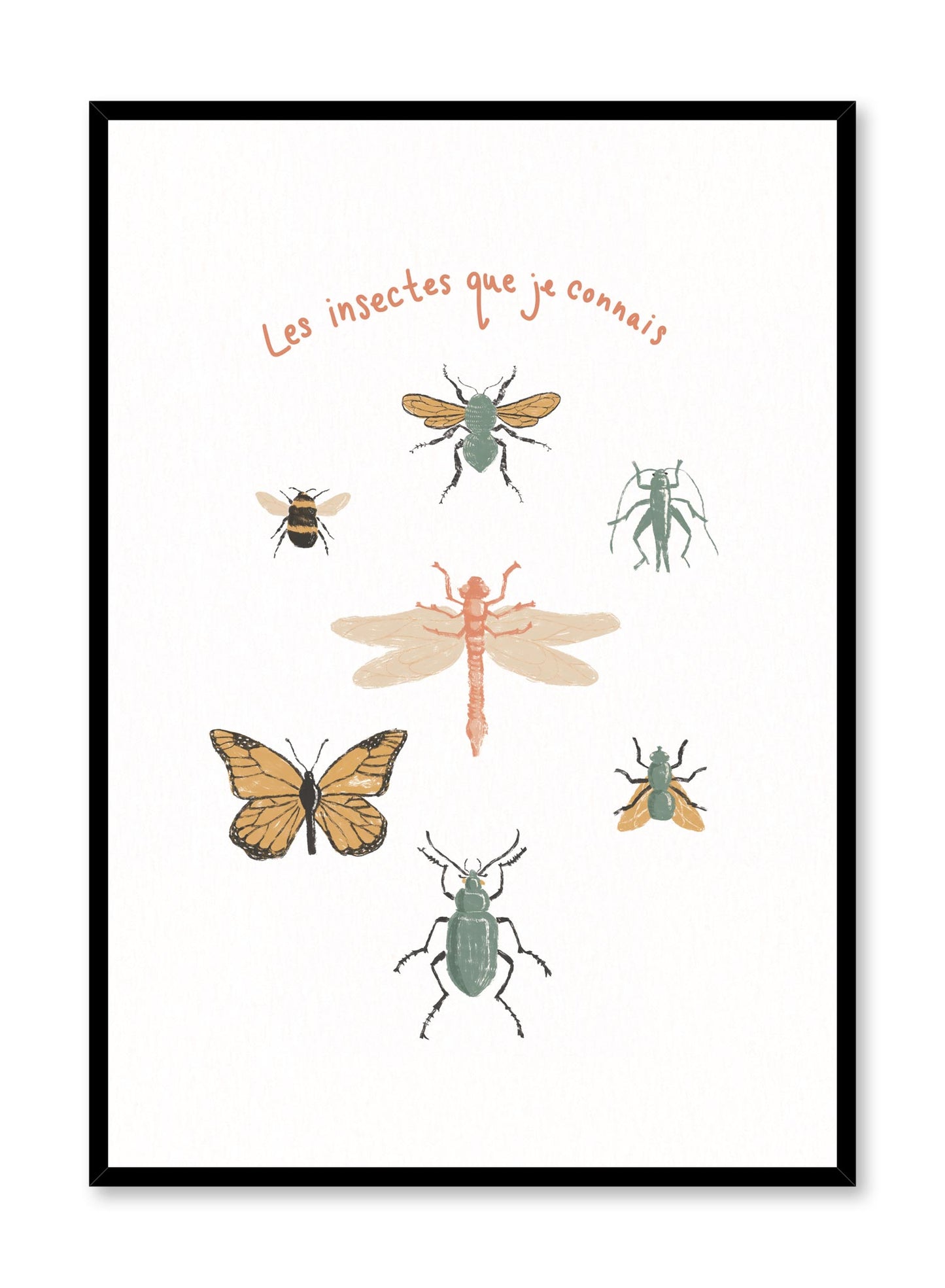 Bug’s Life in French is a minimalist illustration by Opposite Wall of seven different types of commonly found bugs.