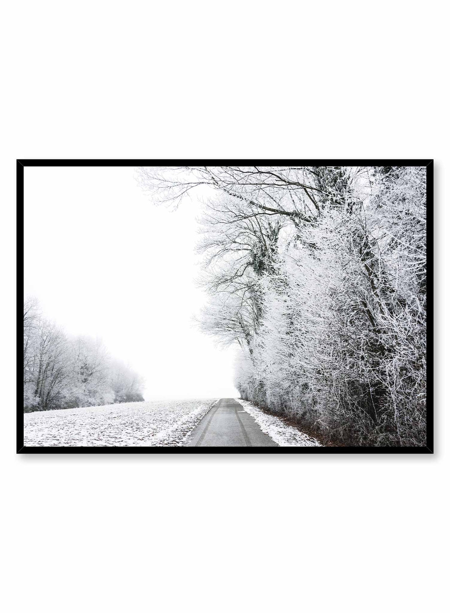Canadian Scenery, Poster | Oppositewall.com