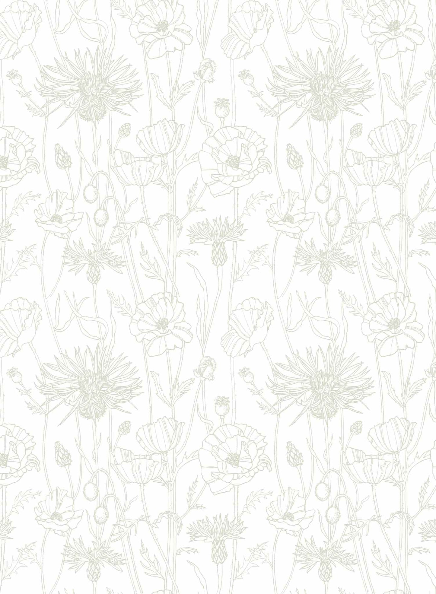 Poppy Field is a minimalist wallpaper by Opposite Wall of a field of tall poppy flowers.