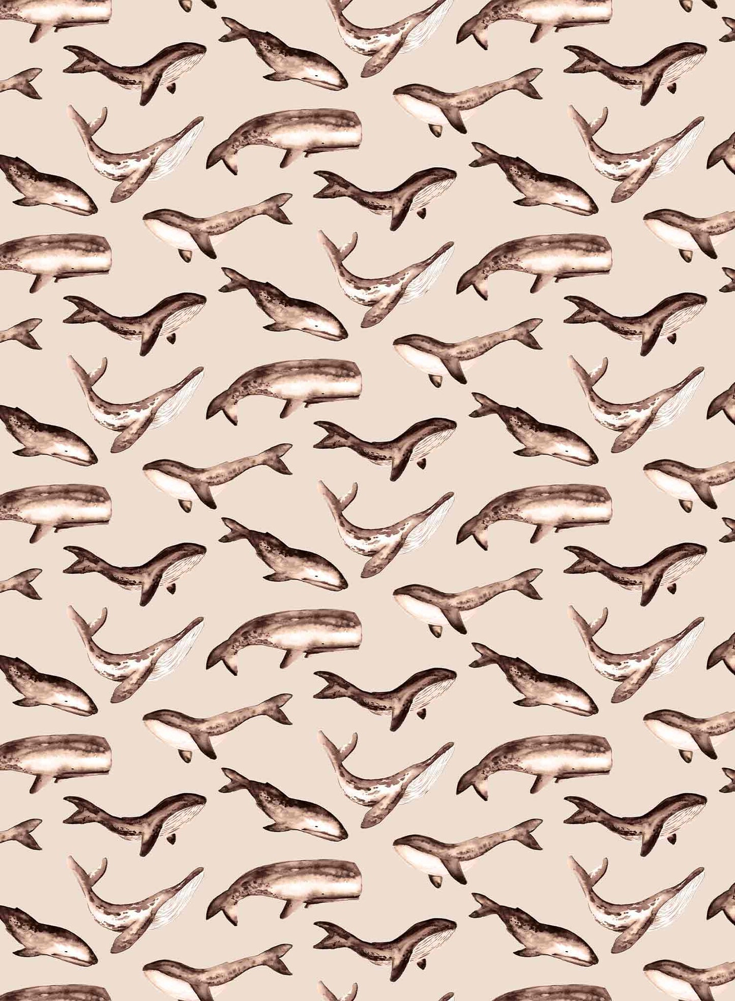 Whale Tale is a minimalist wallpaper by Opposite Wall of a collection of various whale types.