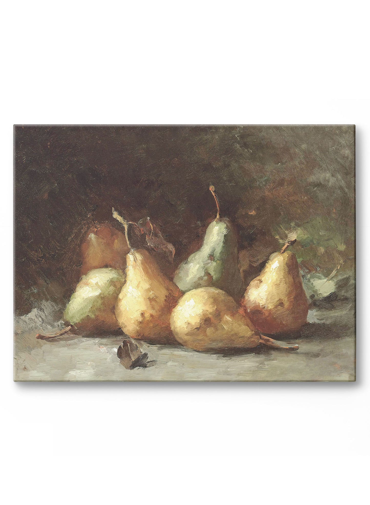 Pears, Canvas