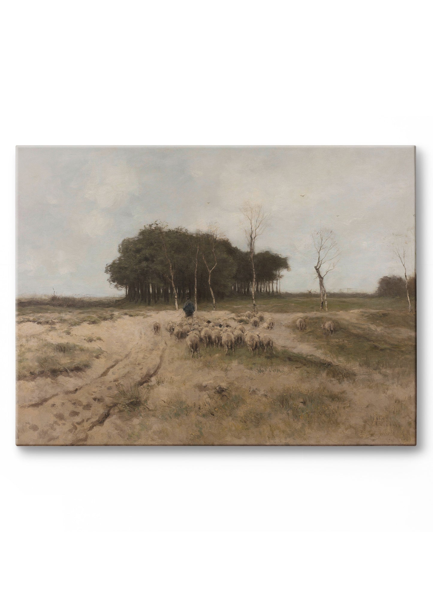 The Heath, Canvas