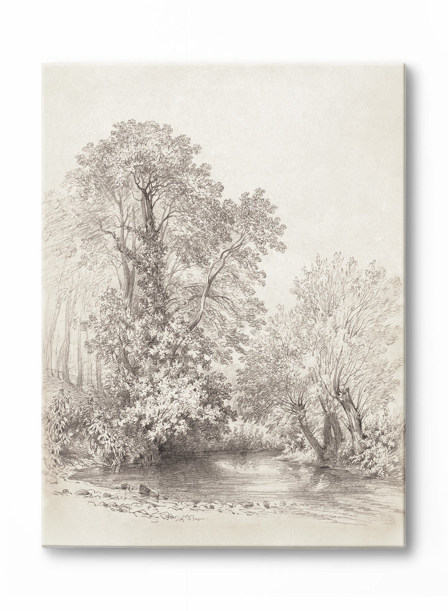 Trees by the River, Canvas