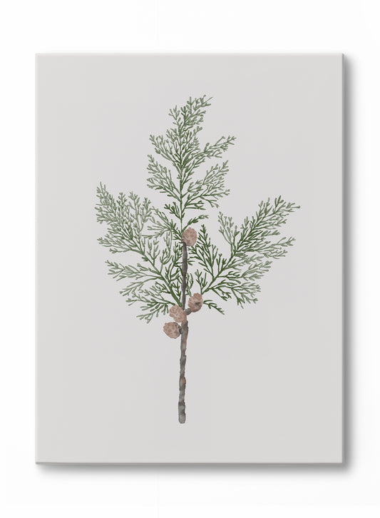 Merry Bough, Canvas