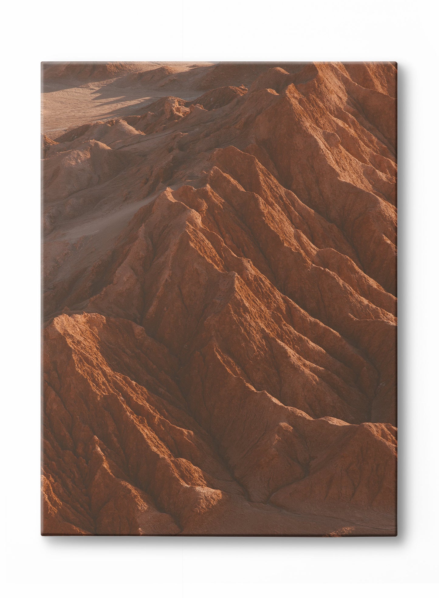 Canyon Vistas, Poster