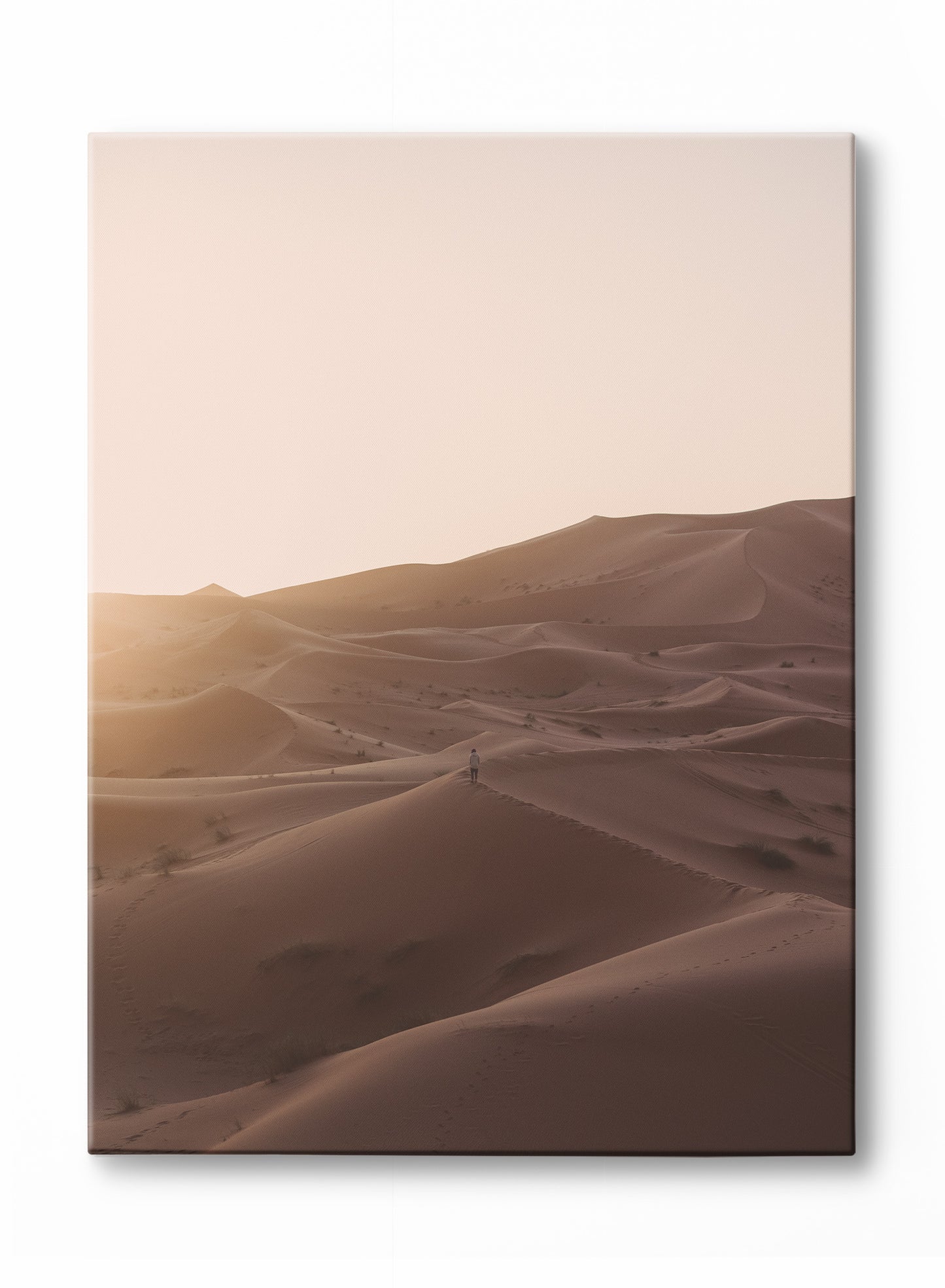 Saharan Solitude, Poster