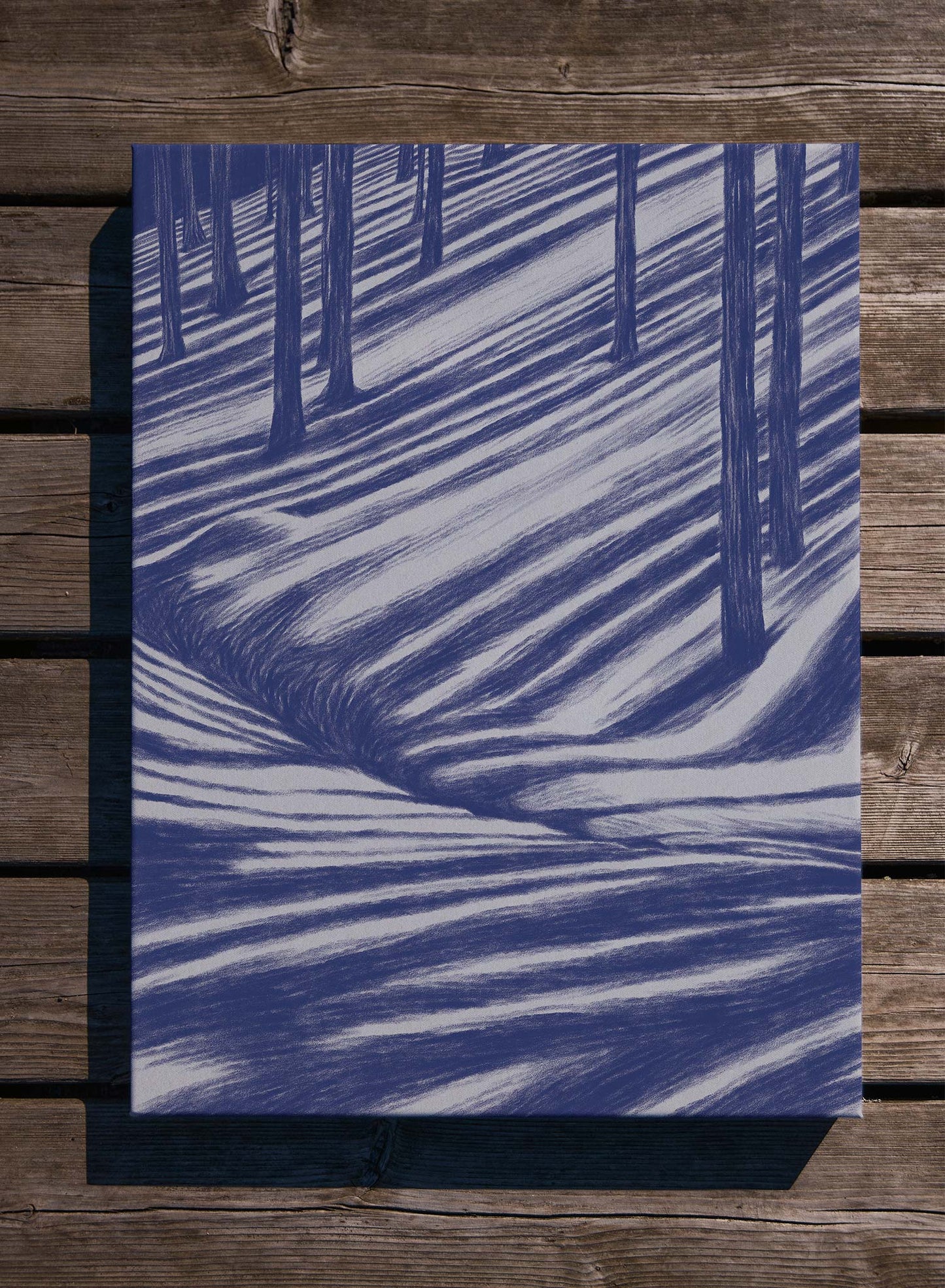 Moonbeam Hike, Canvas