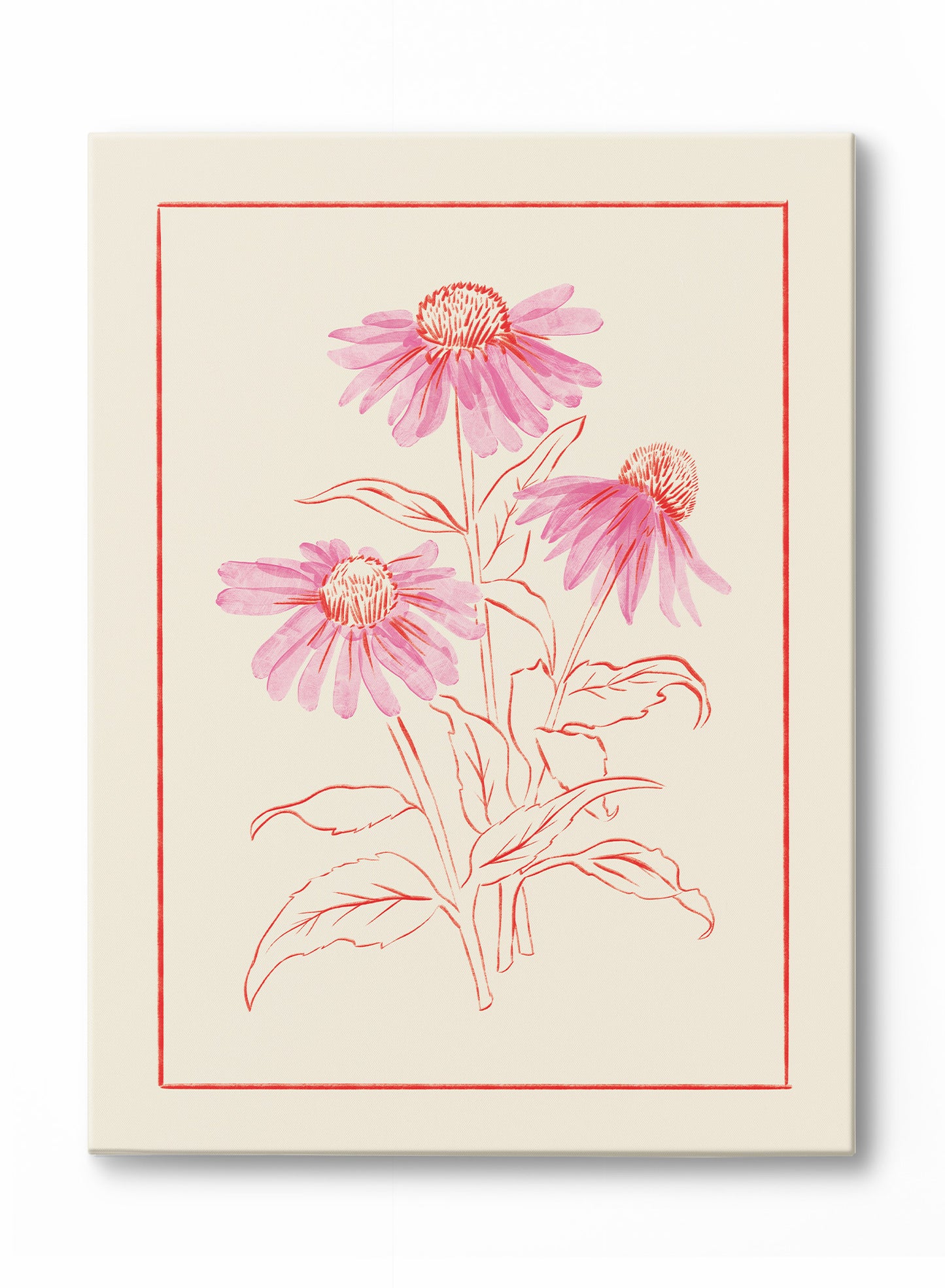 Lovely Coneflower, Canvas