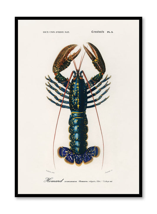 Coastal King, Poster