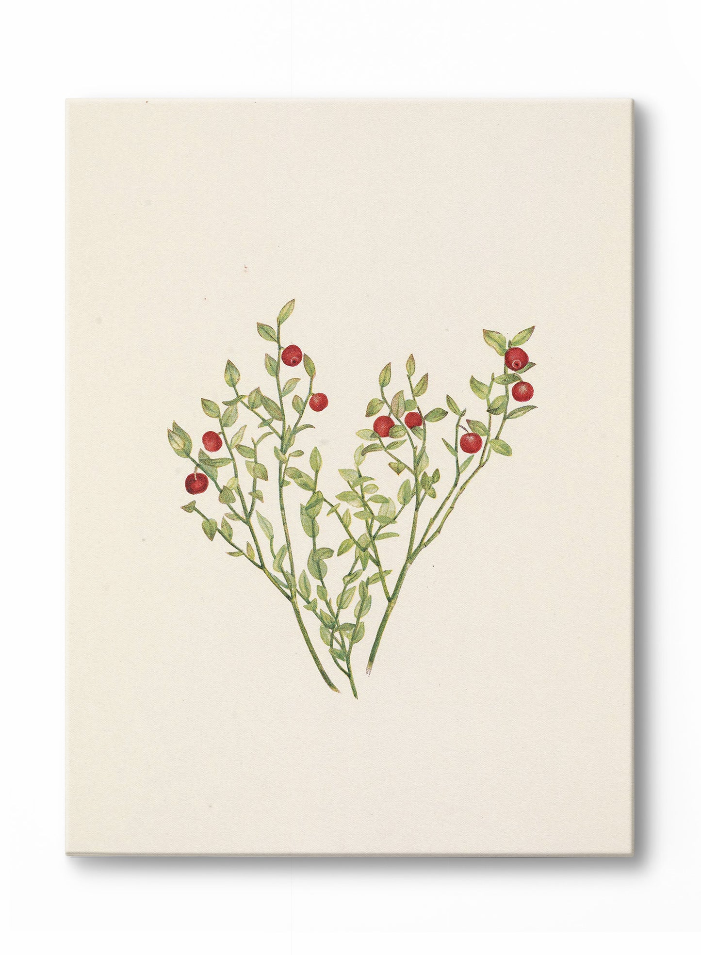 Winter Berry, Poster