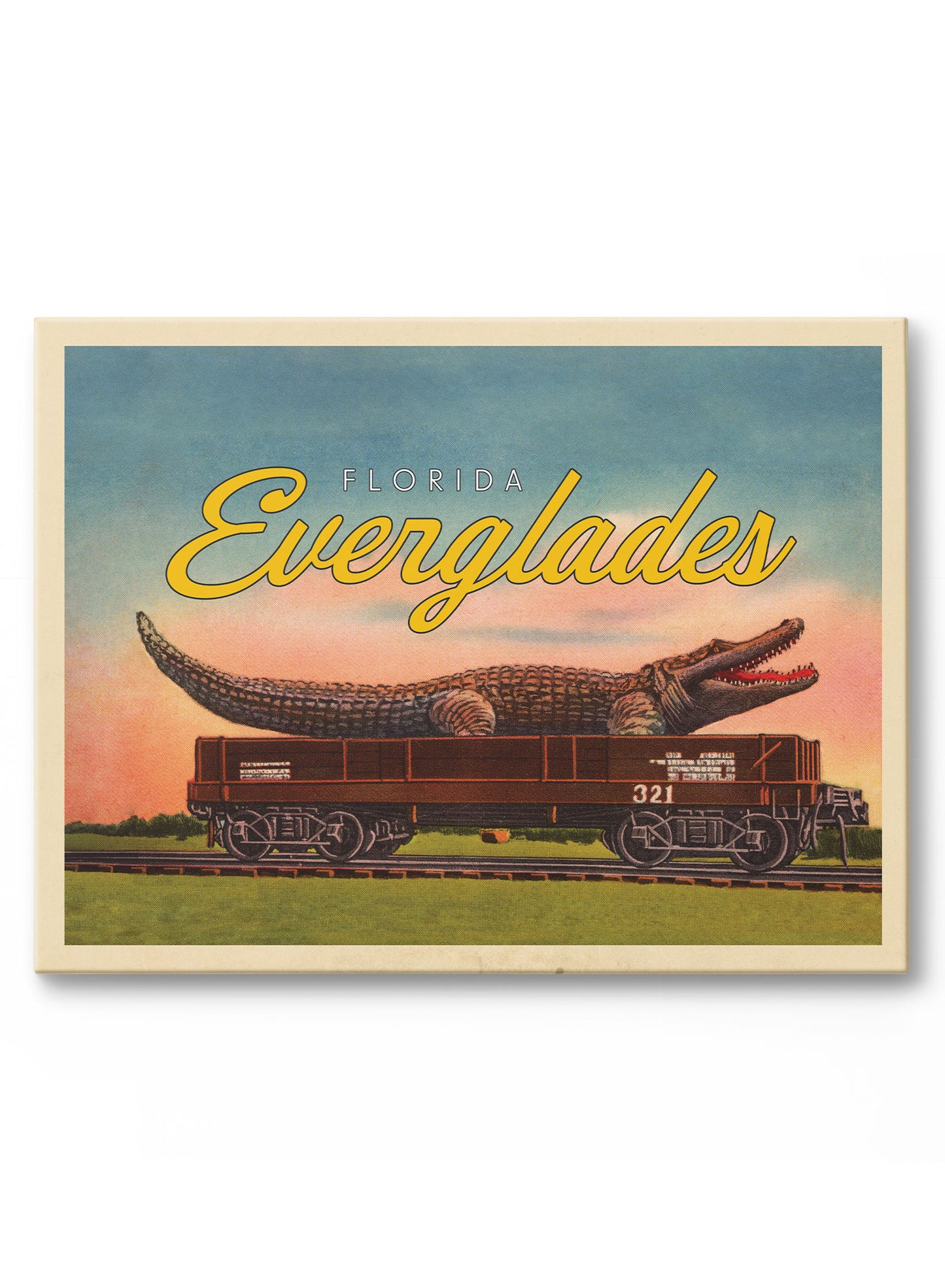 Later Alligator, Everglades, Poster