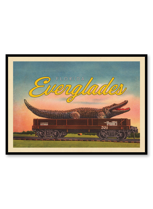 Later Alligator, Everglades, Poster