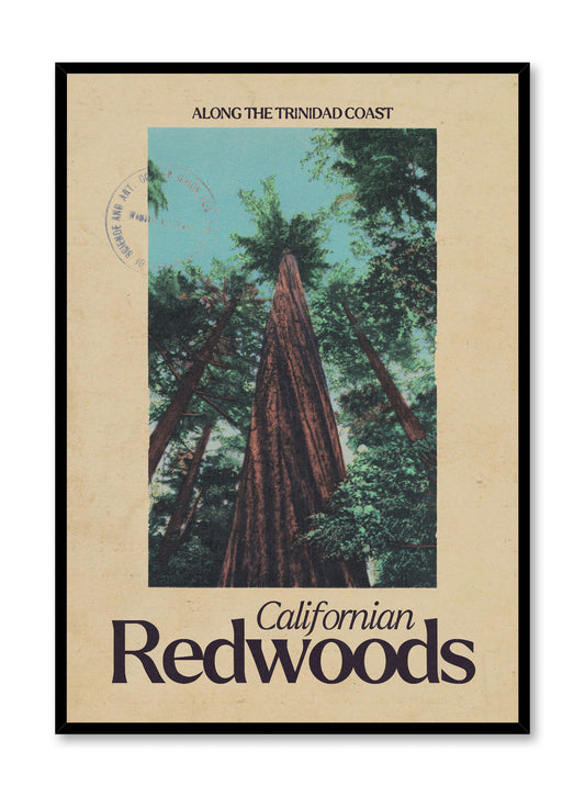 From the Redwood Forest, California, Poster