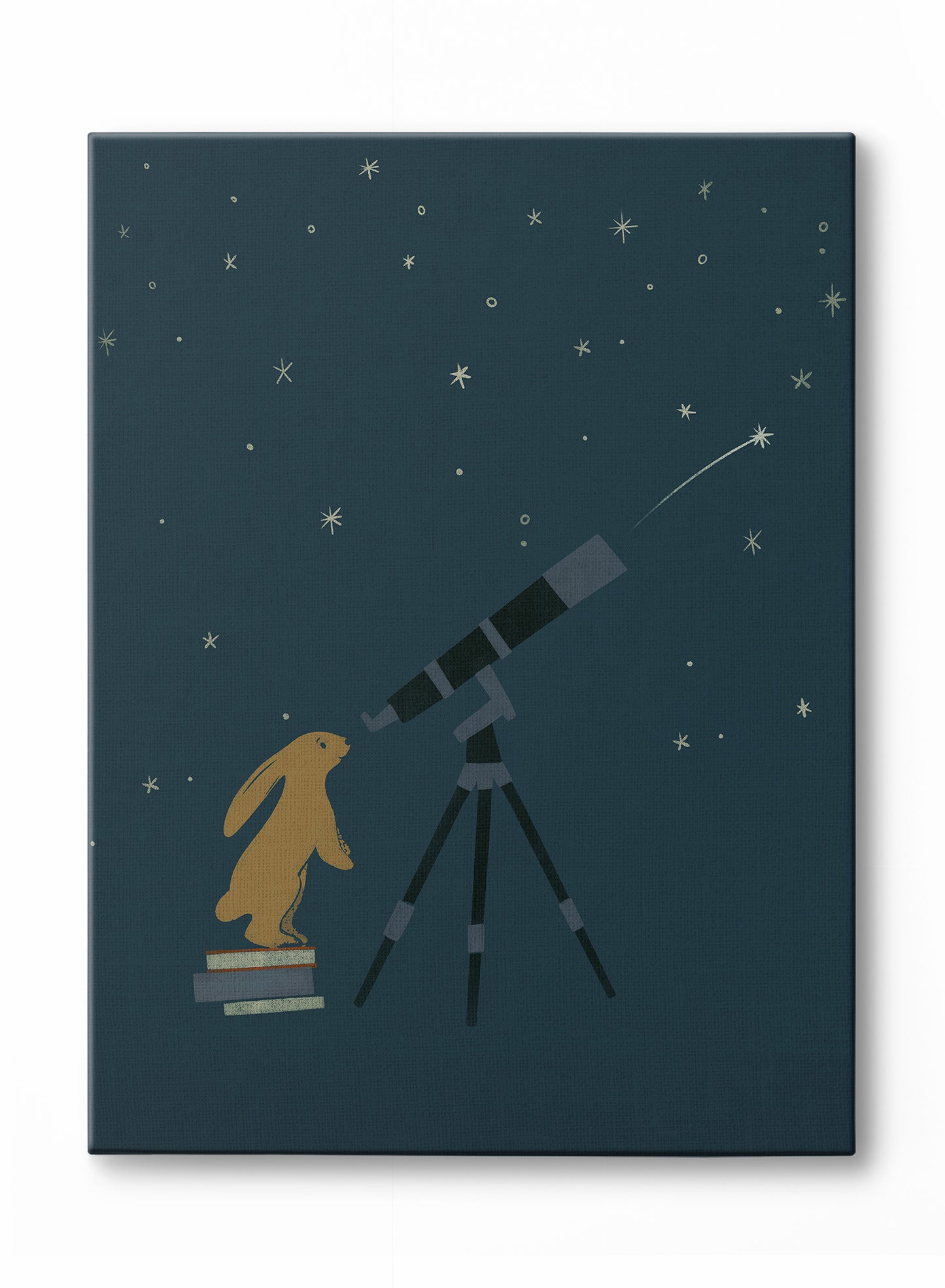 Littlest Stargazer, Poster