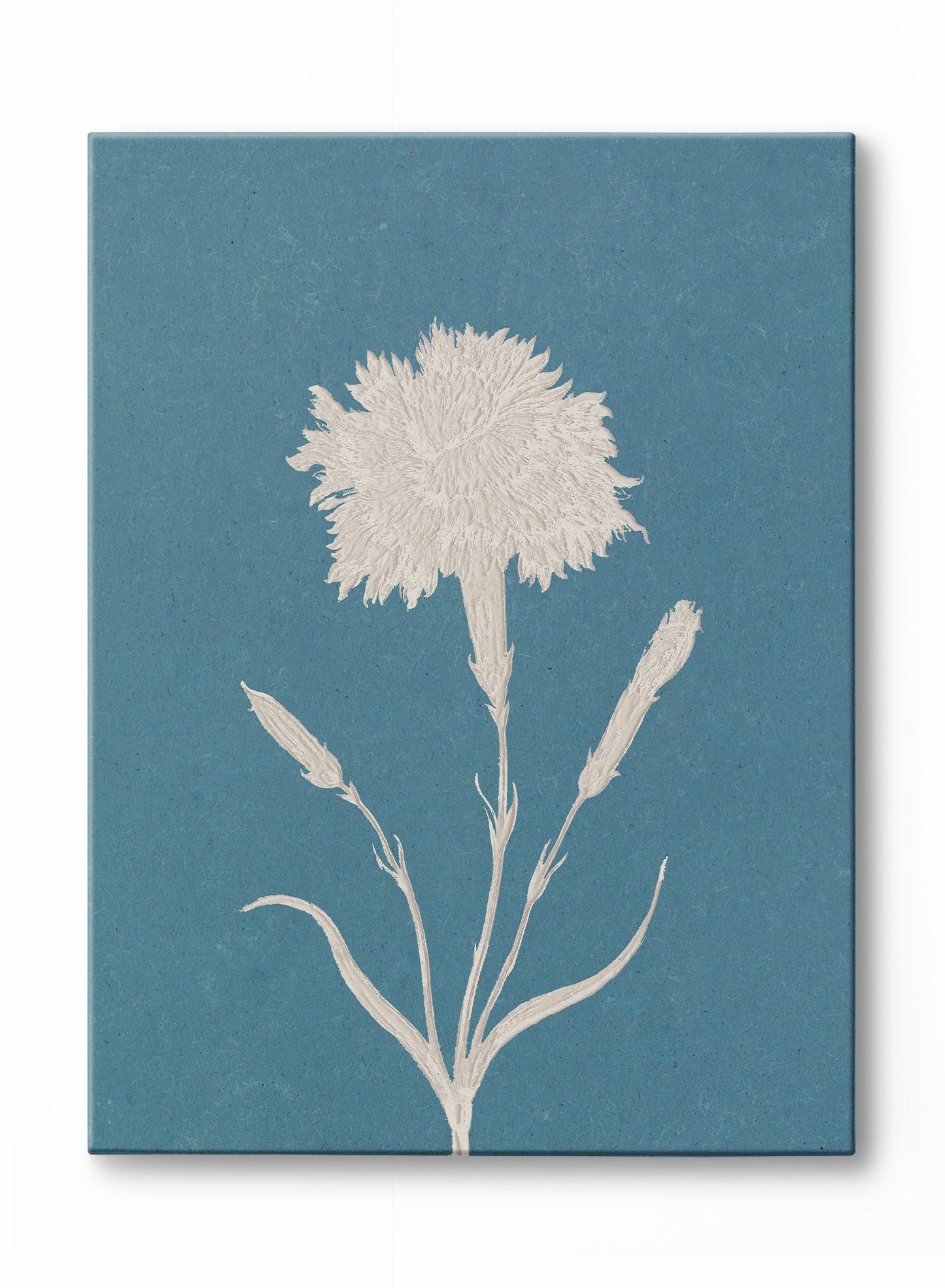 Papercut Carnation, Poster