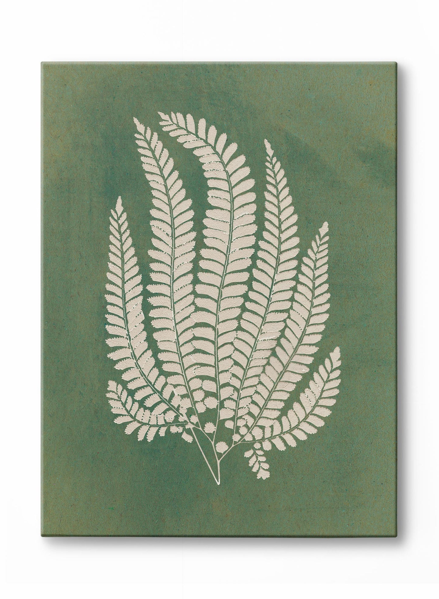 Papercut Lady Fern, Poster