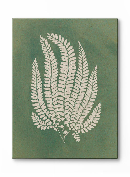 Papercut Lady Fern, Canvas