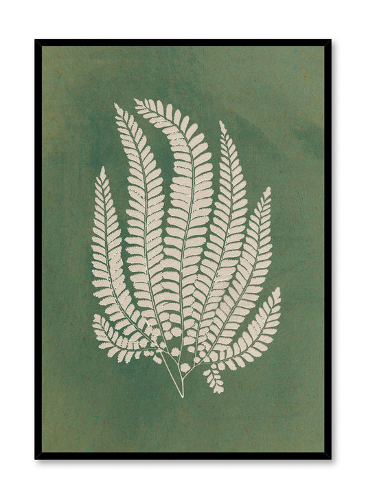 Papercut Lady Fern, Poster