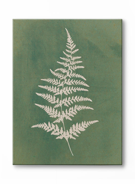 Papercut Wood Fern, Canvas