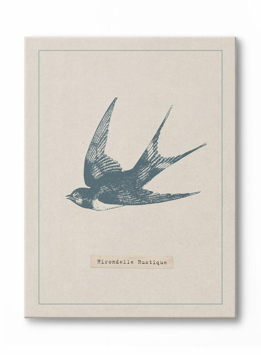 Swooping Swallow, Canvas