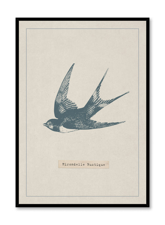 Swooping Swallow, Poster