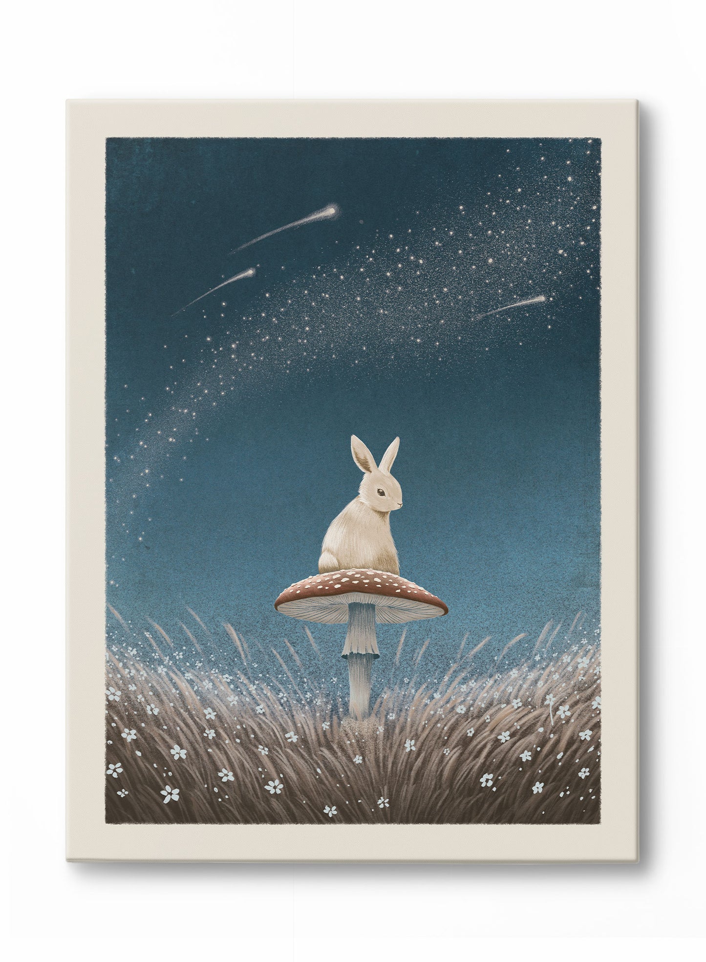 Storybook Stargazing, Poster