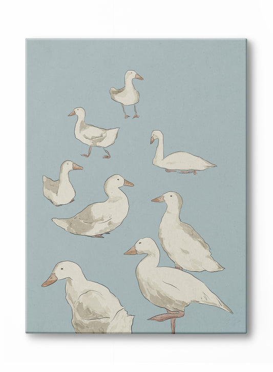 Silly Geese, Canvas