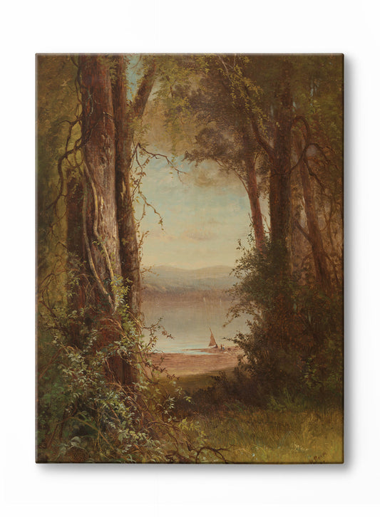 A Forest View, Canvas