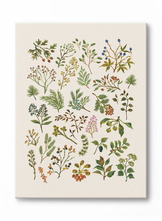Pressed Botanical Study, Canvas