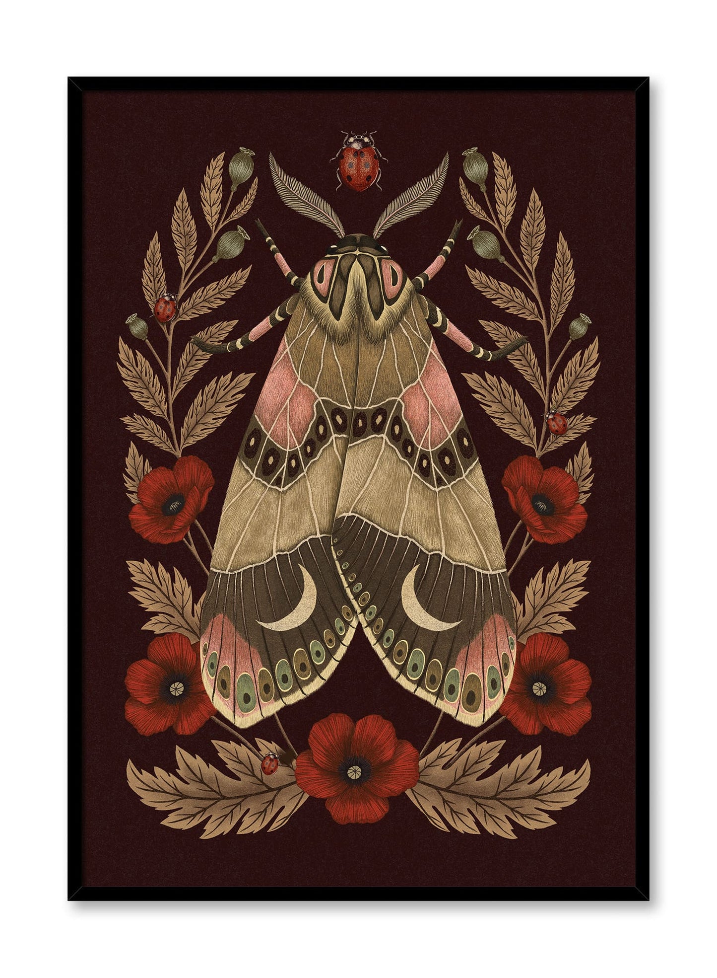 Papillon de minuit, Affiche